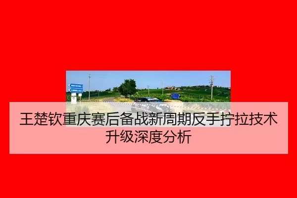 王楚钦重庆赛后备战新周期反手拧拉技术升级深度分析
